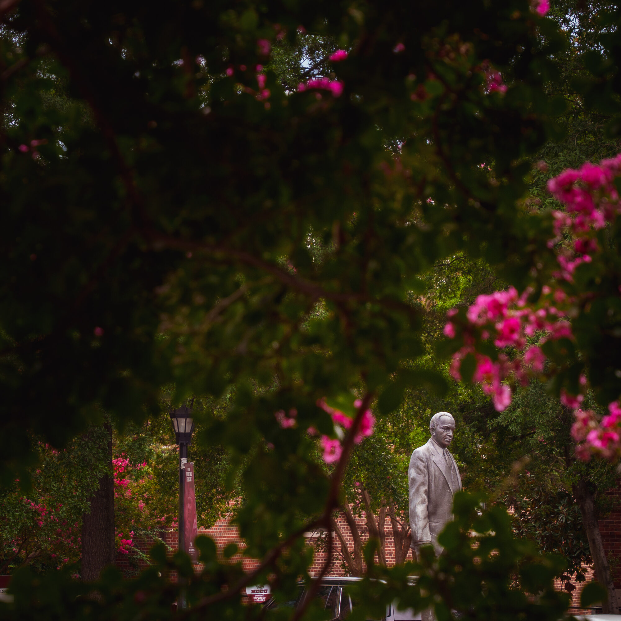 Photograph 19